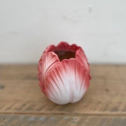 Tulpenvaasje fel roze met wit